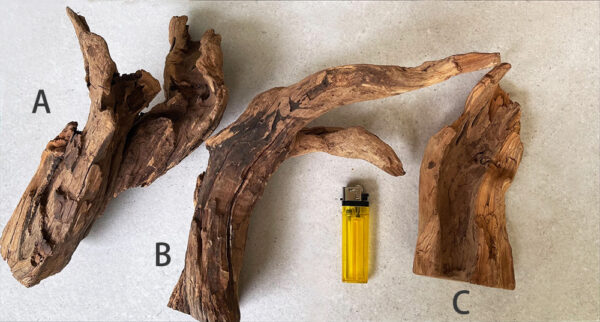 老西澳檀香木 原木樹瘤 造型原木擺件